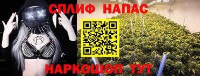 молекула духа Заводоуковск