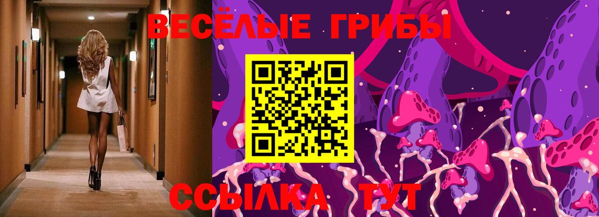 как найти закладки  Вход с VPN  Гусиноозёрск  Псилоцибиновые грибы Cubensis  Галлюциногенные грибы мухоморы 