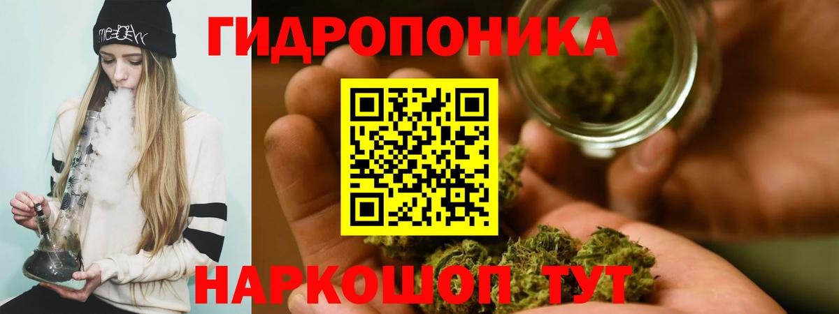 Гусиноозёрск  Шишки марихуана AK-47  Бошки Шишки Amnesia  Вход с VPN  Марихуана марихуана  Бошки марихуана индика 